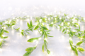 LED Green Leaf Vine String Lights – Aesthetic Decorative Fairy Lights for Home & Room Decor